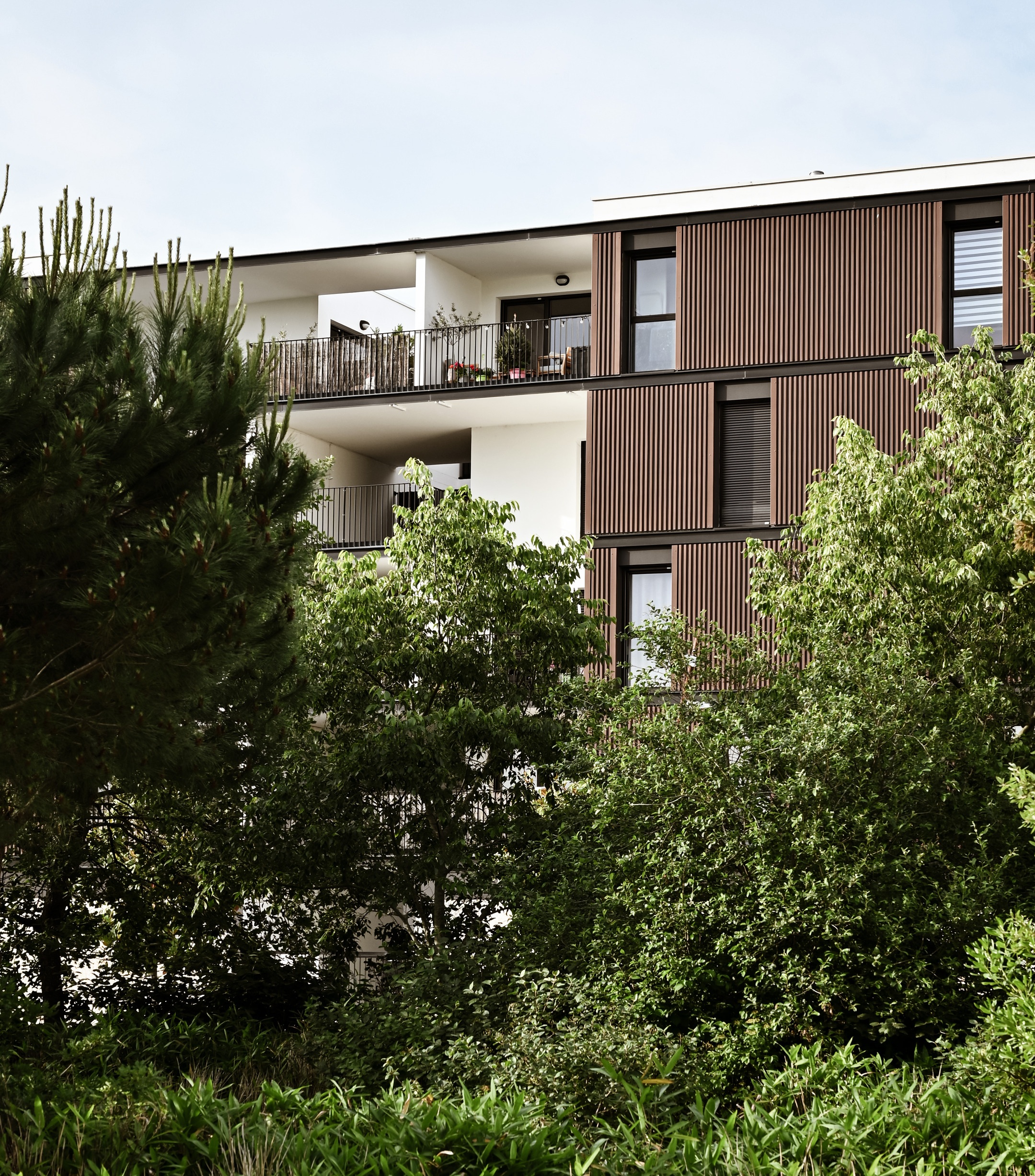 Ariaké • Lot A5b Vidailhan